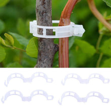 Load image into Gallery viewer, 50/100pcs trellis  Garden Vegetables Tomato Vine Stalks Grow Upright Support Plant Clips Hot For Garter Plants Agriculture Tools