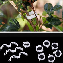 Load image into Gallery viewer, 50/100pcs trellis  Garden Vegetables Tomato Vine Stalks Grow Upright Support Plant Clips Hot For Garter Plants Agriculture Tools