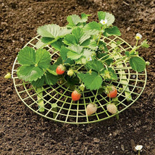 Load image into Gallery viewer, 5 Pcs Strawberry Plant Support Cradle Rack Strawberry Plastic Rack For Strawberry Gardening Supplies