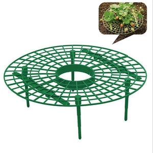 Strawberry Frame Holder Balcony Planting Rack Fruit Support Plant Flower Climbing Vine Pillar Gardening Stand