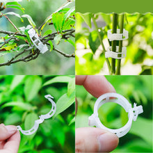 Load image into Gallery viewer, 50pcs /bag Tomato Clips Trellis Garden Plant Flower Vegetable Binder Twine Plant Support Greenhouse Clip Supplies D3