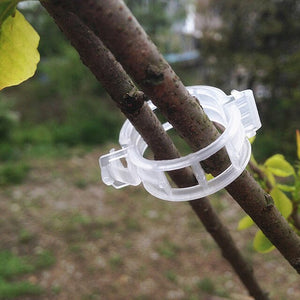 50pcs /bag Tomato Clips Trellis Garden Plant Flower Vegetable Binder Twine Plant Support Greenhouse Clip Supplies D3